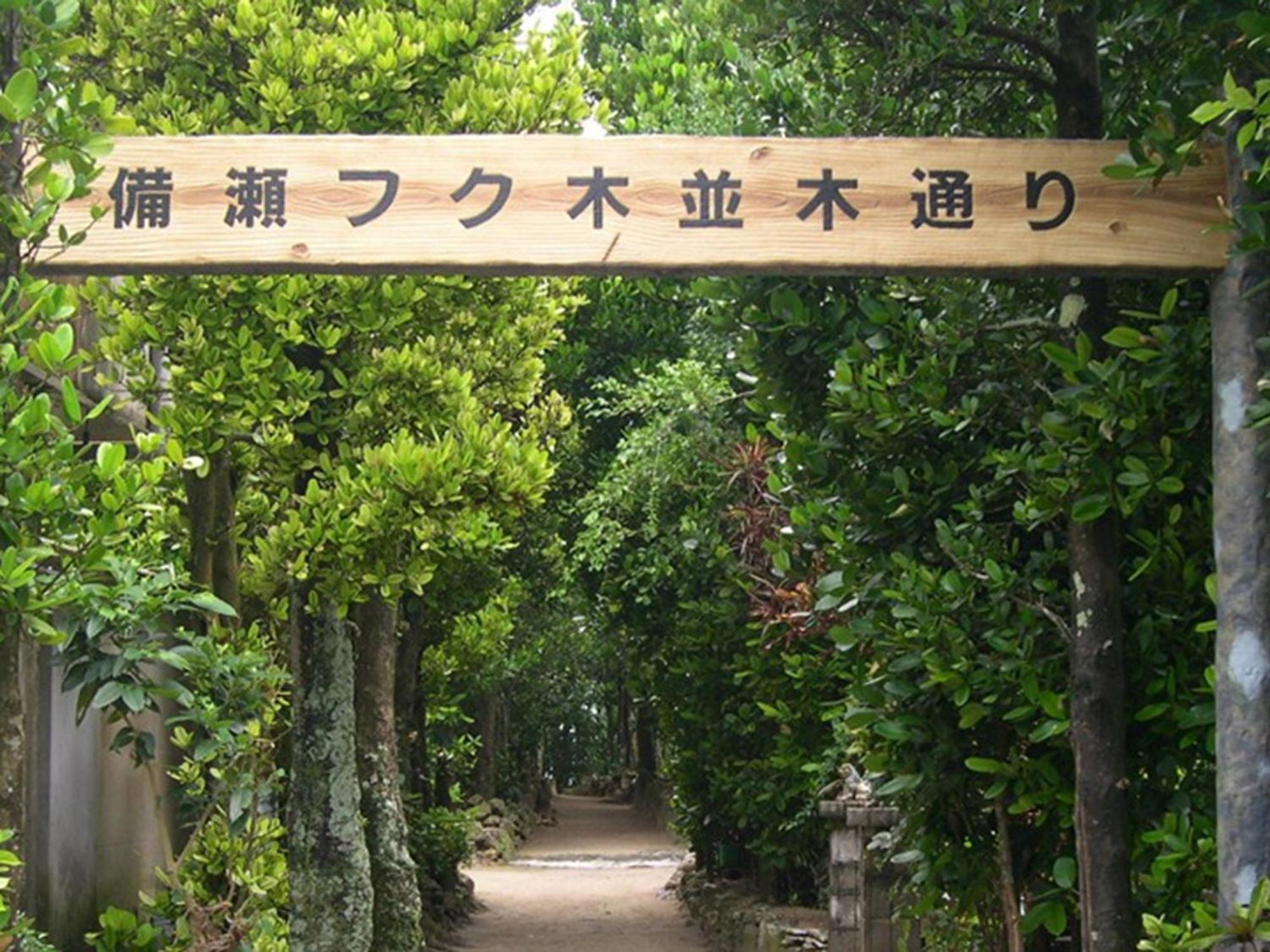 Nuchiyui -Life Bond- - Vacation Stay 49057V Nakijin Exterior photo